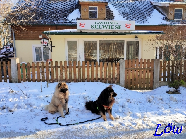 7.2.2023 - Dwix und Howard beim Gasthaus Seewiese